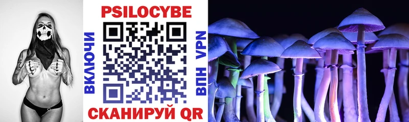 Псилоцибиновые грибы Psilocybine cubensis  Салаир 