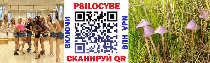 Псилоцибиновые грибы мицелий Салаир